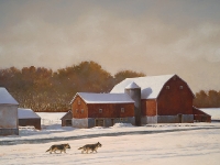 Dan Wolf and barns